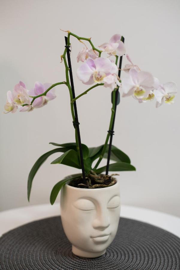 Medluxe Cozy Apartment! Athene Buitenkant foto